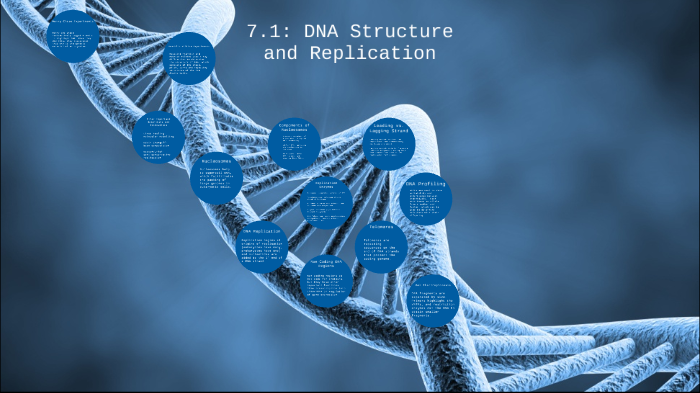 DNA Concept Map by Dylan Elam on Prezi