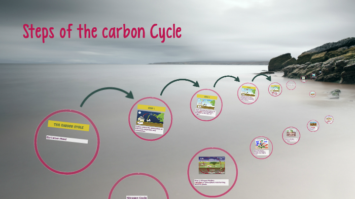 The Carbon Cycle by Carson Hood on Prezi