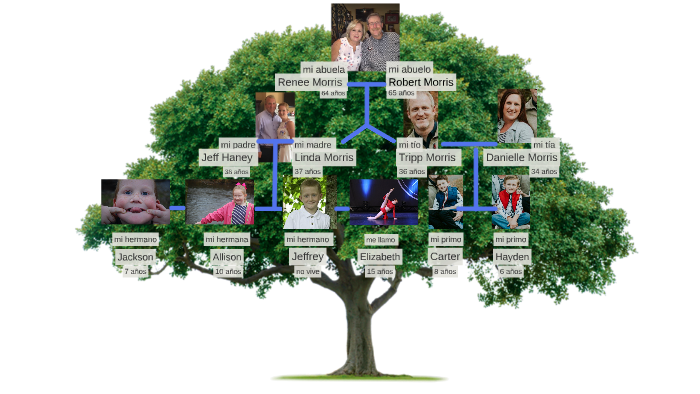 Family Tree by Elizabeth Haney