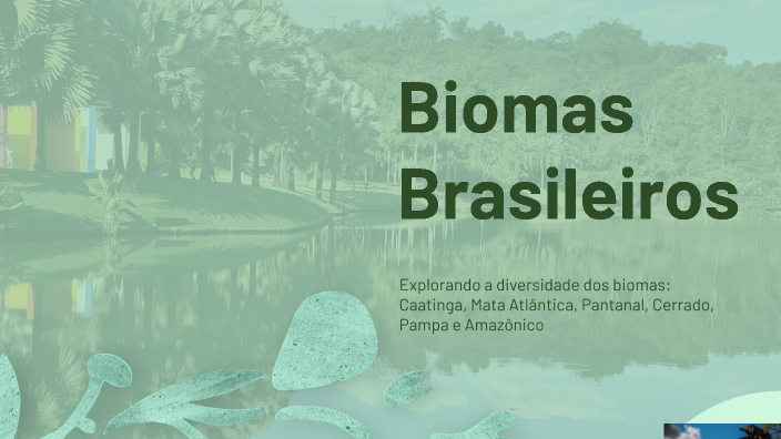 Biomas Brasileiros Apresentar by João Lucas M. Carvalho on Prezi