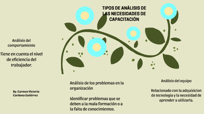 Tipos de Análisis de las Necesidades de Capacitación by Carmen Cardona