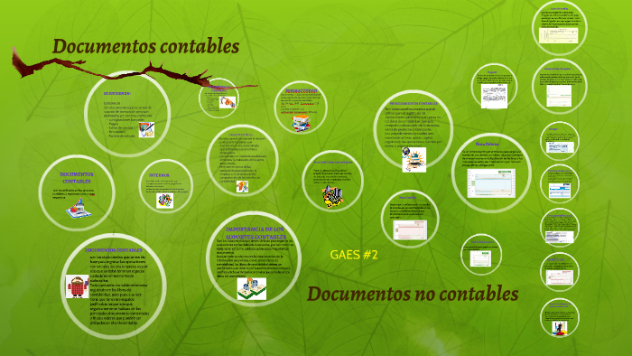 Documentos Contables Y No Contables By Ana Peña 8867