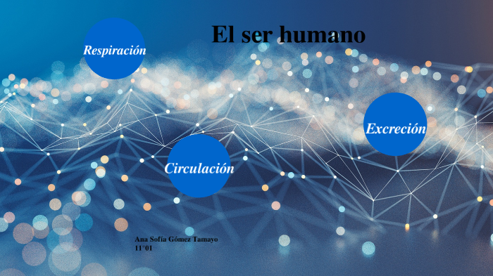 Respiración, circulación y excreción del ser humano by Asgota on Prezi Next