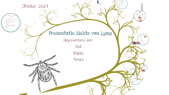 Ziekte Van Lyme By Tamara Van Weert