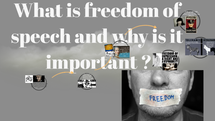 is it important to have freedom of speech