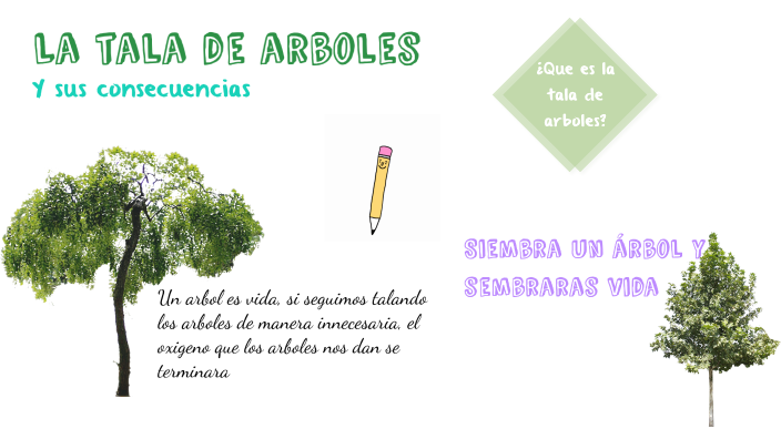 La tala de arboles by ANA PAOLA MAMANI PUMA