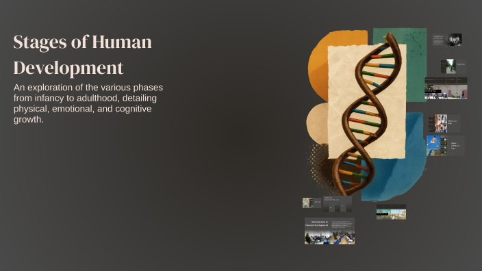 Stages of Human Development by elsayed ramadan on Prezi