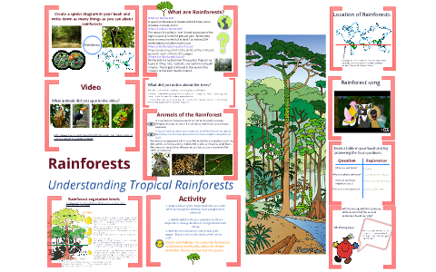 Rainforests - Year 7 by Miss Glenn on Prezi