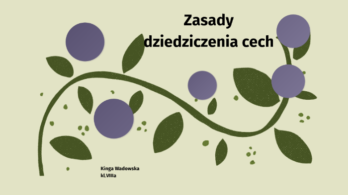 Zasady Dziedziczenia Cech By Kinga W On Prezi