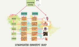 Lymphatic Concept MAp