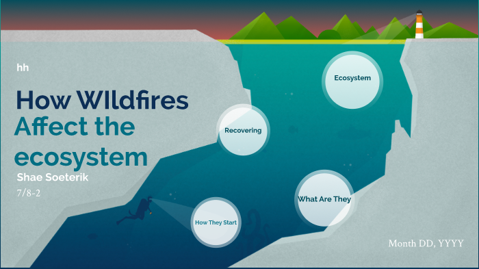 how-wildfires-affect-the-ecosystem-by-shae-soeterik