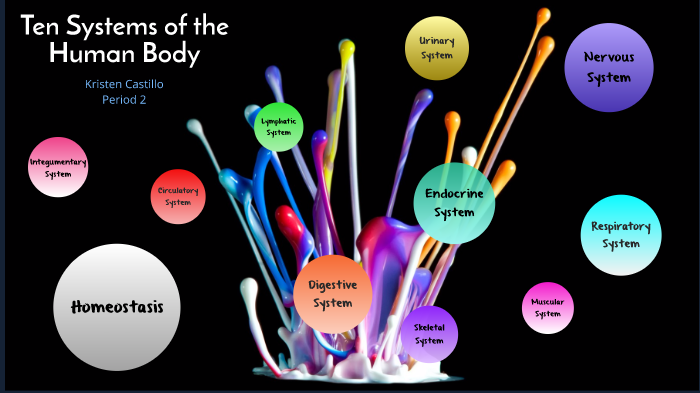 Systems of the Human Body by Kristen Castillo on Prezi