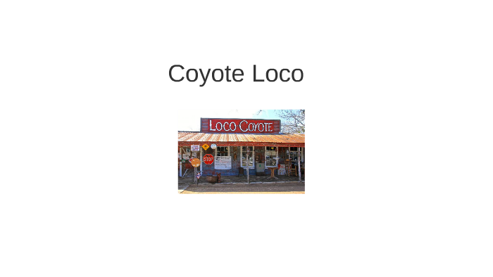 Case study coyote loco essay example 08 picture