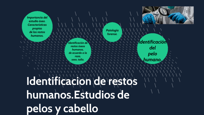 IDENTIFICACIÓN DE RESTOS HUMANOS. ESTUDIO DE PELOS Y CABELLOS by Angel