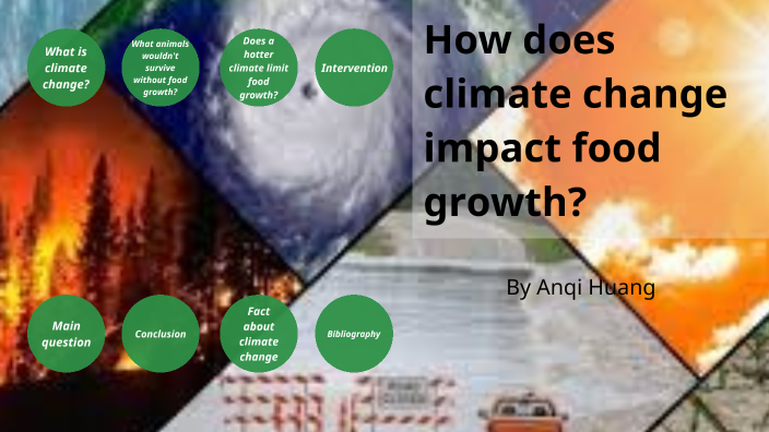 How does climate change impact food growth? by Anqi Huang on Prezi