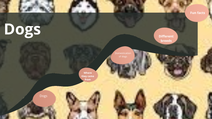 Dogs by Emma S on Prezi