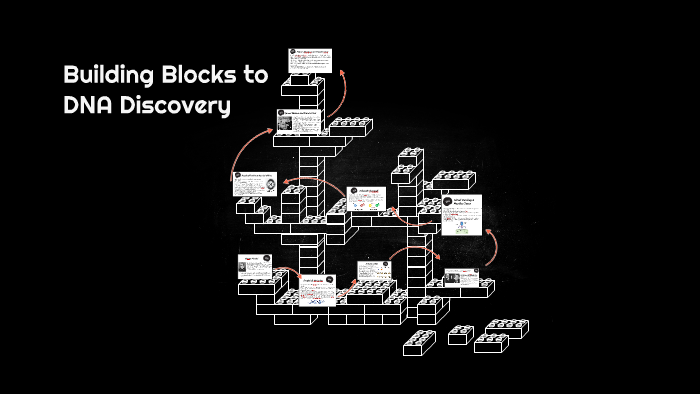 The Building Blocks to DNA Discovery by Ayemen . on Prezi
