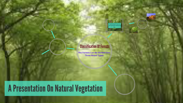 short essay on natural vegetation