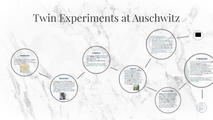 top 3 reasons twin experiments occurred