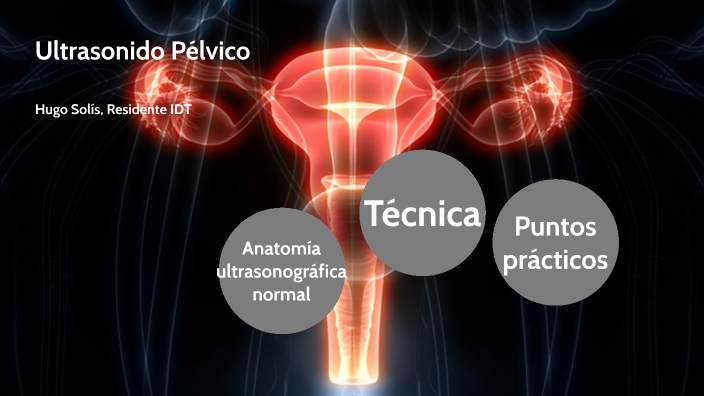 Ultrasonido Transvaginal By HUGO SALVADOR SOLIS DELGADO On Prezi