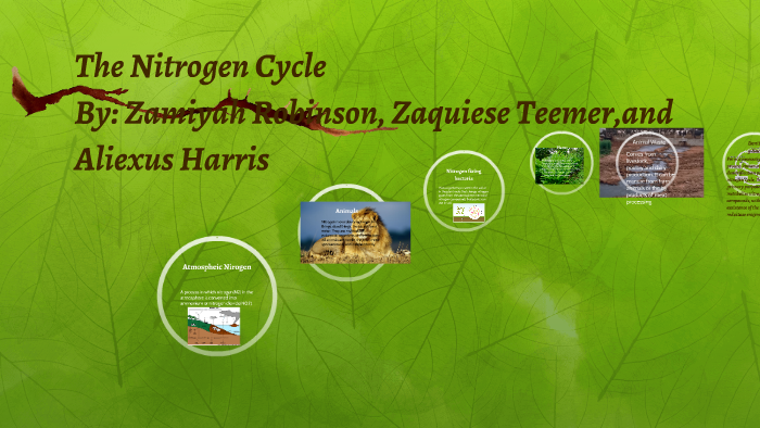 The Nitrogen Cycle by za'miyah robinson on Prezi
