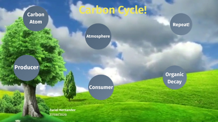 Carbon Cycle by Zuriel Hernandez on Prezi