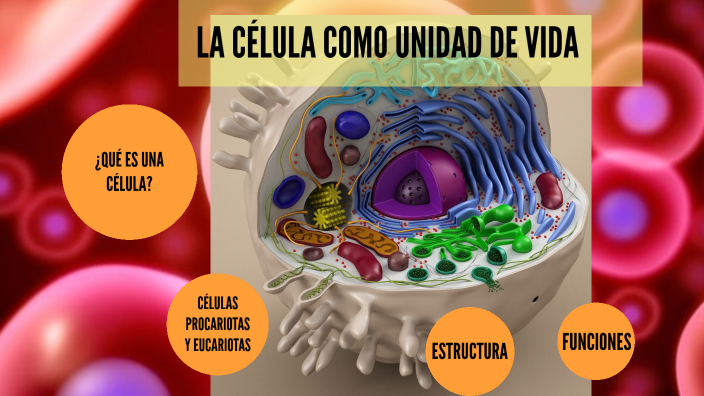 La Celula Como Unidad De La Vida