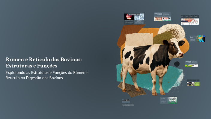 Rúmen e Retículo dos Bovinos: Estruturas e Funções by Vitória ferreira ...