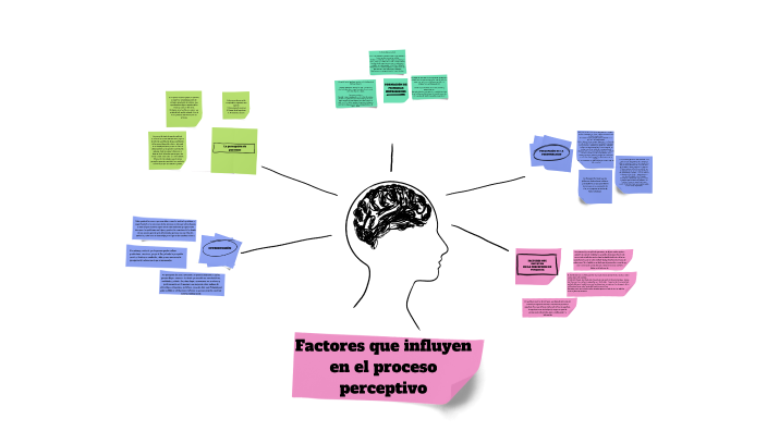 Factores que influyen en el proceso perceptivo by ana benitez on Prezi