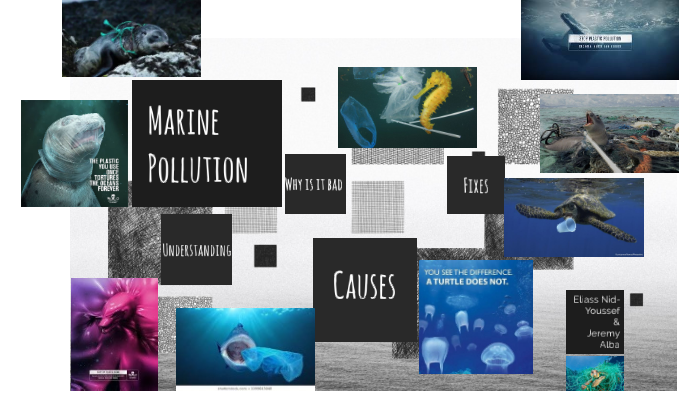 Marine Pollution by eliass last on Prezi