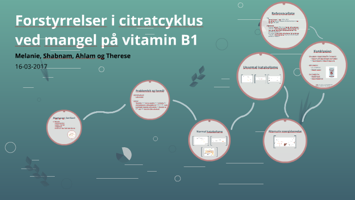 Forstyrrelser I Citratcyklus Ved Mangel På Vitamin B1 By Therese Lund ...