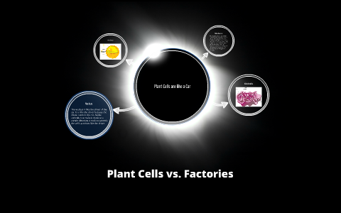 Plant Cells vs. Factories by Jasmine Park on Prezi