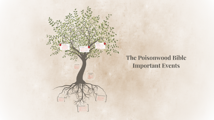 the-poisonwood-bible-important-events-by-bestwhap-groupever