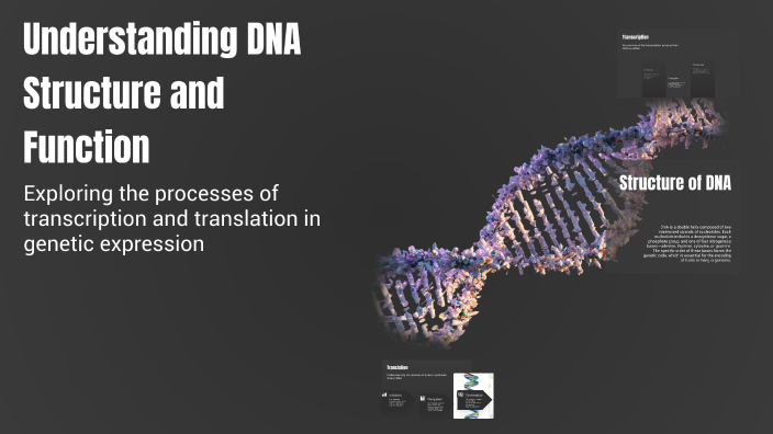 Understanding DNA Structure and Function by Ibrahim Awan on Prezi