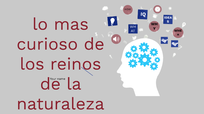 los reinos de la naturaleza by valentina espinosa on Prezi