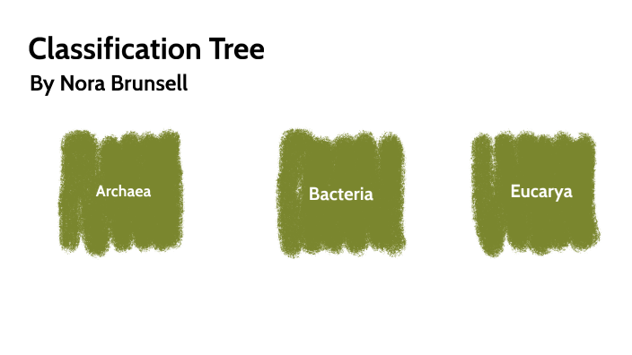 Classification Tree by eleanor Brusnell on Prezi