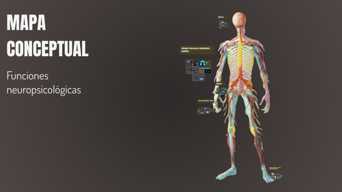 MAPA CONCEPTUAL by Diana Martinez on Prezi