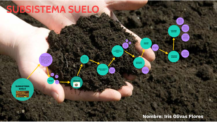 SUBSISTEMA SUELO by Iris Flores on Prezi