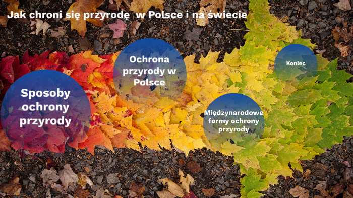 Jak chroni się przyrodę w Polsce i na świecie by Katarzyna Kopeć on Prezi