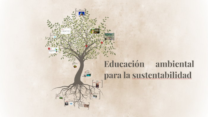 Educación Ambiental Para La Sustentabilidad By Maritza Bautista' On Prezi