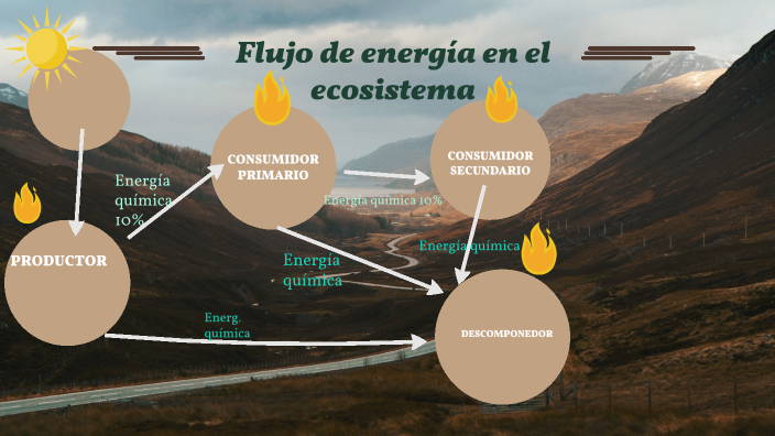 Flujo De La Energía En El Ecosistema By Romina Torres On Prezi 