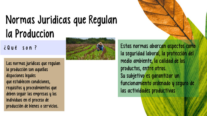 Normas juridicas que regulan la produccion by Paola Santiago on Prezi