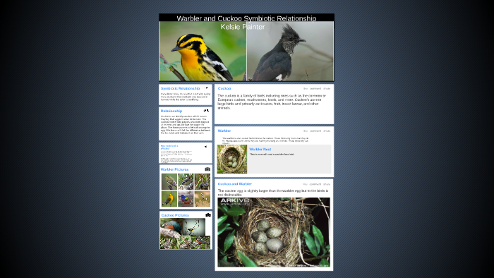 Cuckoo and Warbler Symbiotic Relationship by Kelsie Reid on Prezi