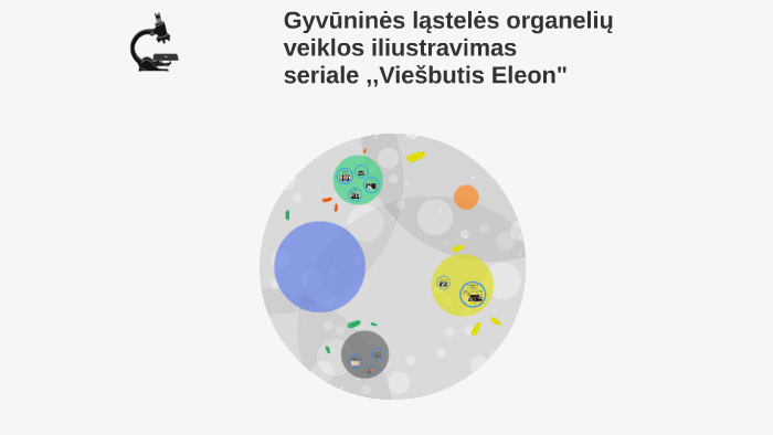 Gyvuninės Lastelės Organelių Veiklos Iliustravimas Seriale Viesbutis Eleon By John Doe