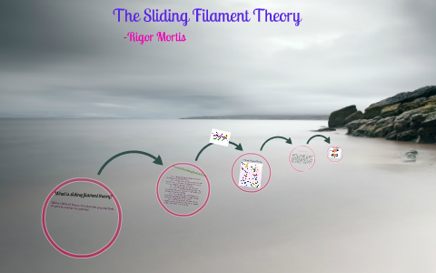 Rigor Mortis By Duyen Nguyen