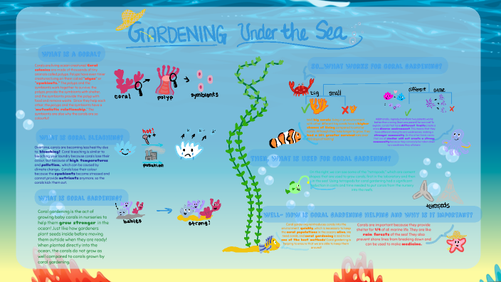 Coral Gardening by Jayden Rogers on Prezi