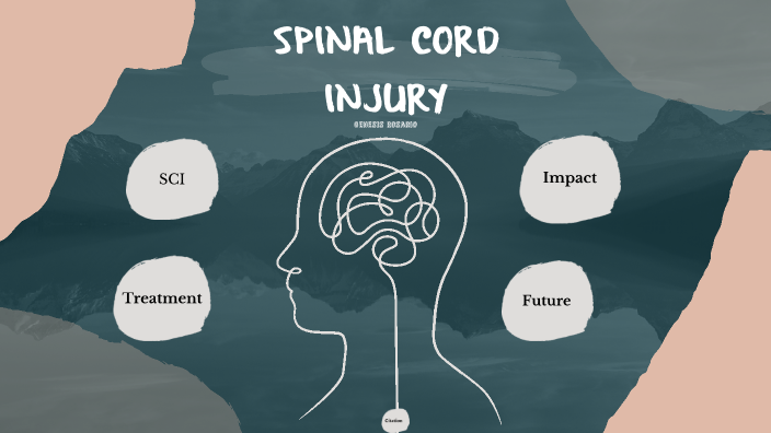 Spinal Cord Injury By Genesis Ibeth