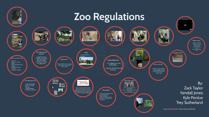 10 rules and regulations of zoo for students
