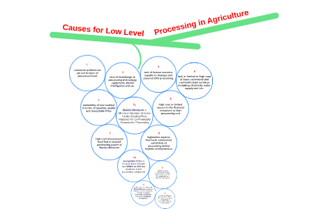 Causes for Low Level Processing in Agriculture Produce by Lasha ...