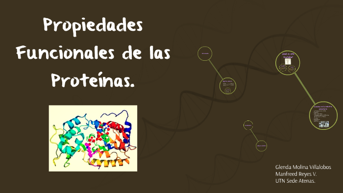 Propiedades Funcionales De Las Proteínas By Glenda Molina Villalobos On Prezi 3757